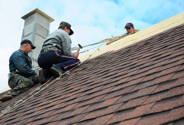 Best Metal Roofing Contractor  in Richland, MO